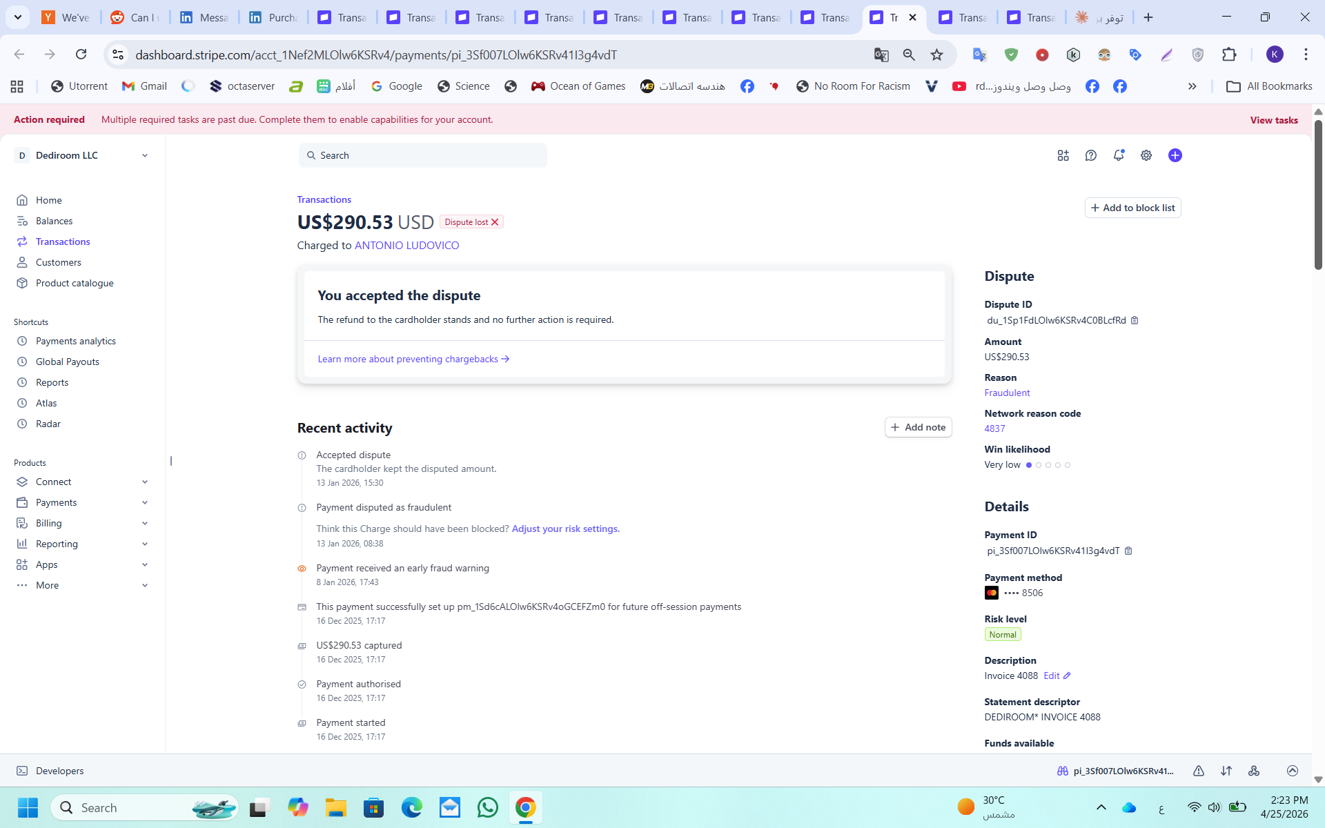 Stripe dispute $290.53, payment Dec 16, Early Fraud Warning Jan 8, Risk Level Normal